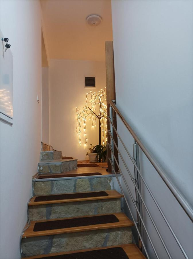 Apartmani Mladenovic Kijevo 外观 照片